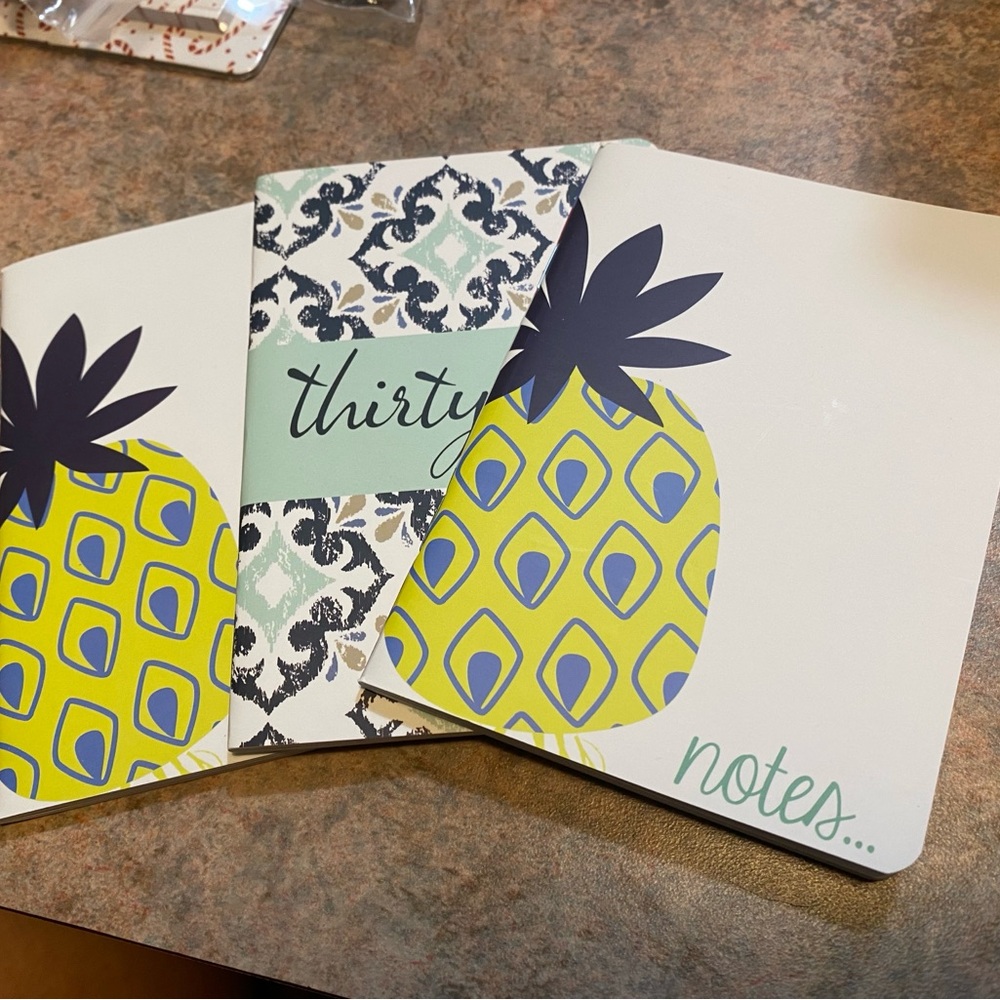 BRAND NEW Thirty One Brand Patterned Mini Notebooks - Set of 3